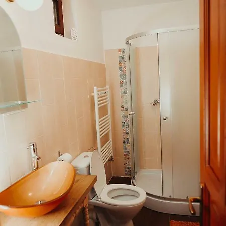 Guest house Pensiunea Aer De Munte Recea (Brasov)