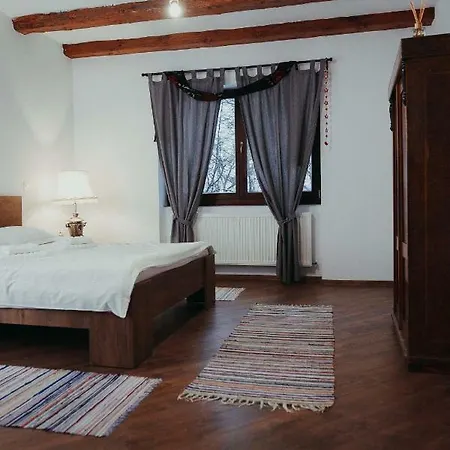 Pensiunea Aer De Munte Guest house