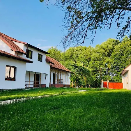 Guest house Pensiunea Aer De Munte